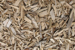 biomass boilers Cosmore